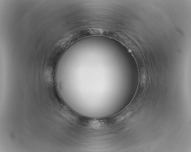 X0000116300616200911301443