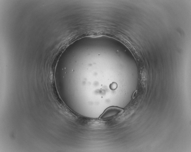 X0000116300617200911301443