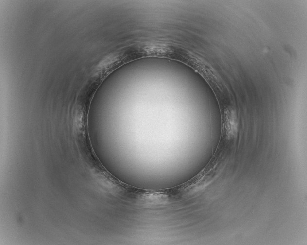 X0000116300619200911301443