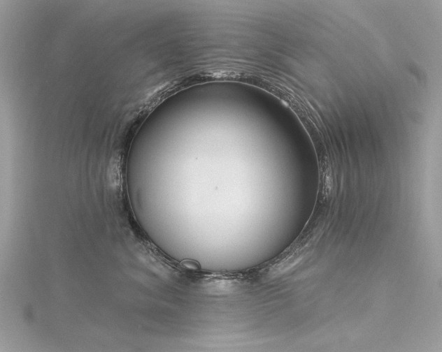 X0000116300620200911301443