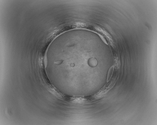 X0000116300621200911301443