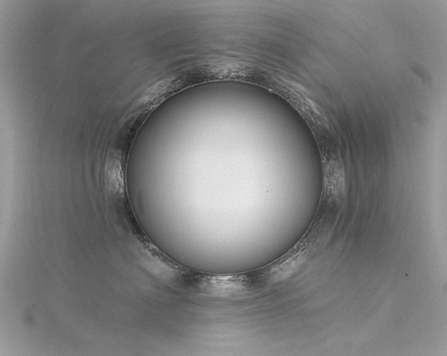 X0000116300622200911301443