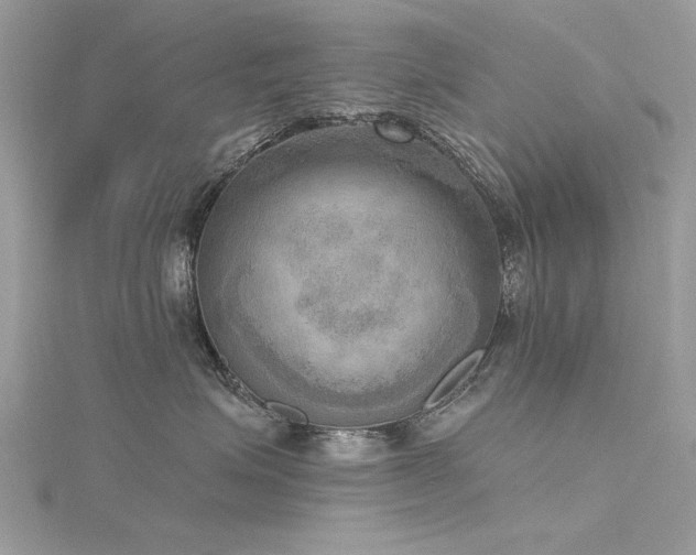 X0000116300623200911301443