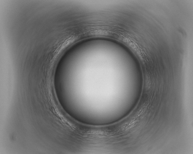 X0000116300625200911301442