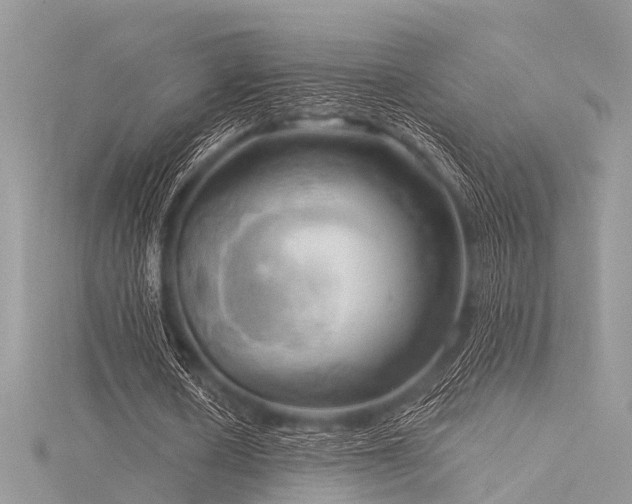 X0000116300626200911301442