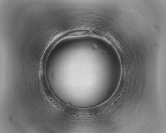 X0000116300628200911301442