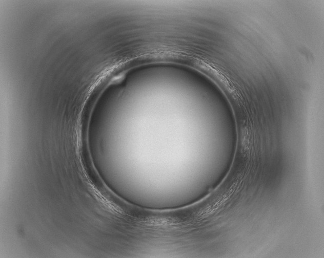 X0000116300629200911301442