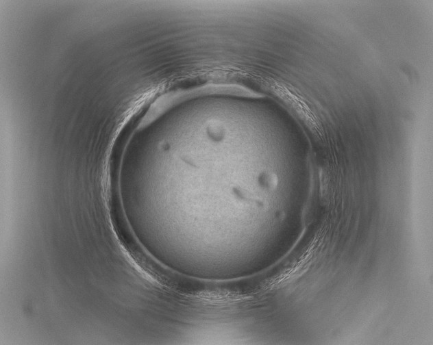 X0000116300630200911301442