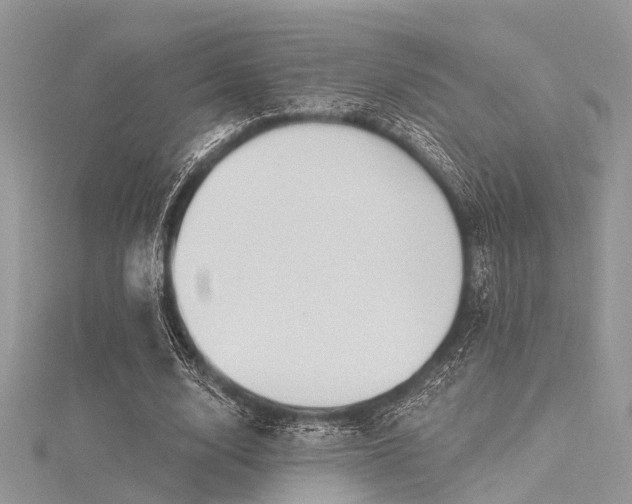 X0000116300632200911301442