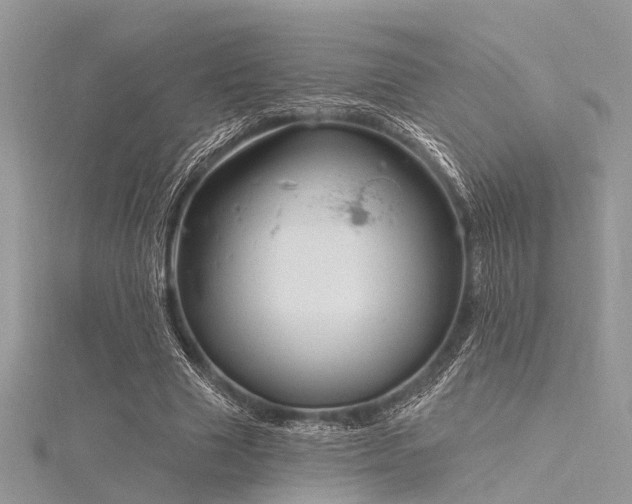 X0000116300633200911301442