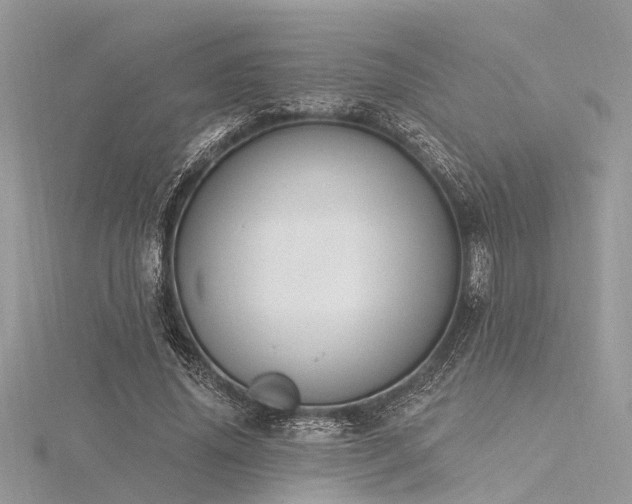 X0000116300636200911301442