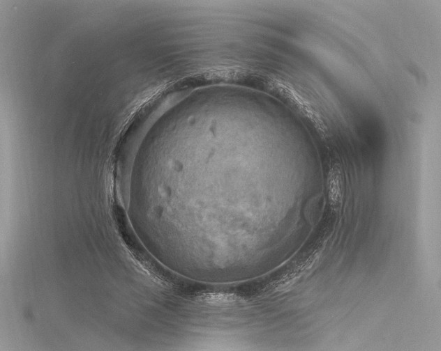 X0000116300637200911301442