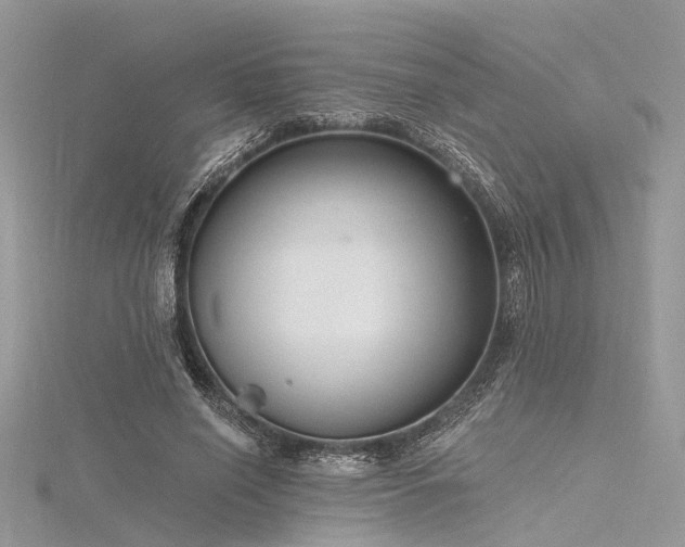 X0000116300638200911301442