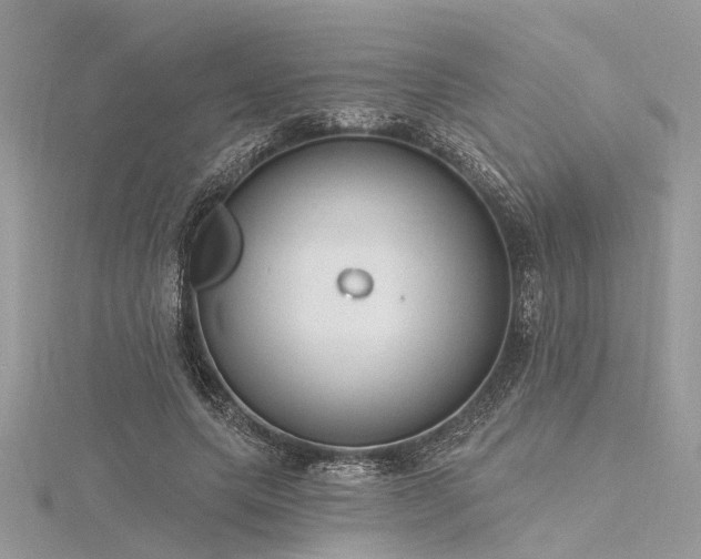 X0000116300639200911301442