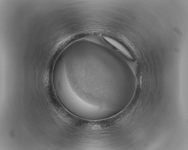 X0000116300640200911301442