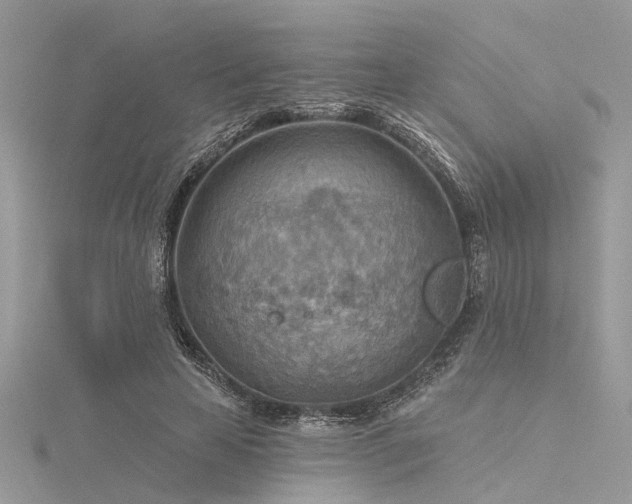 X0000116300641200911301442