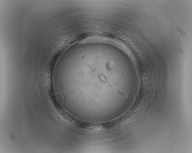 X0000116300642200911301442