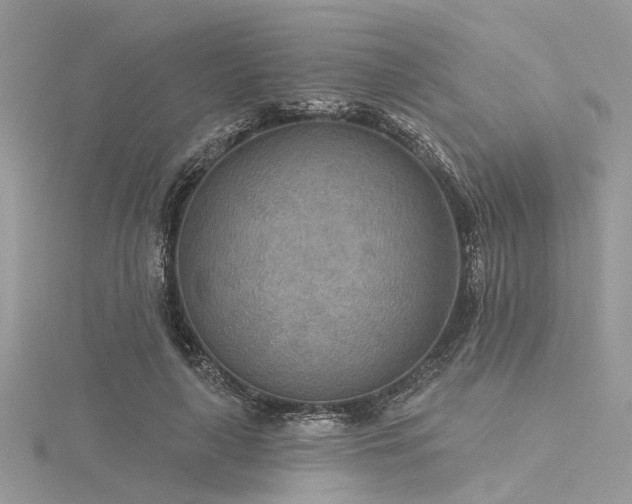 X0000116300643200911301442