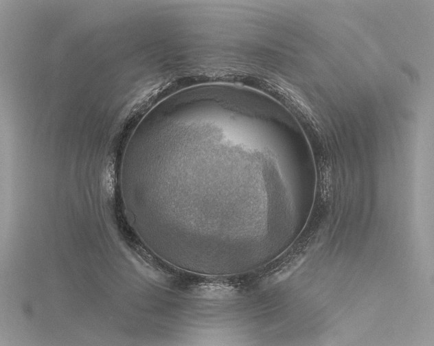 X0000116300644200911301442