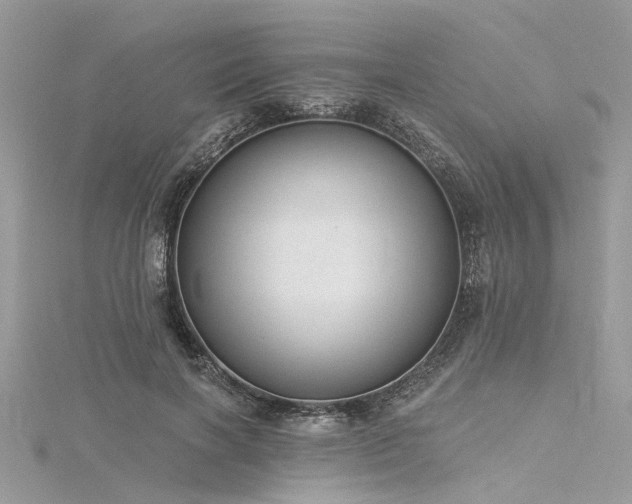 X0000116300646200911301442