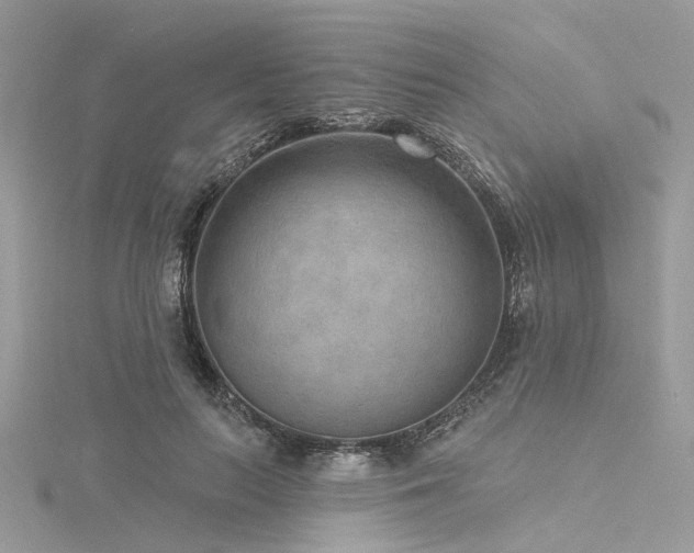 X0000116300647200911301442