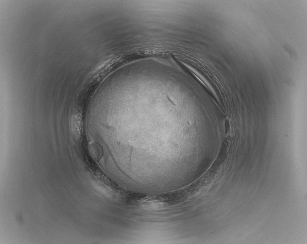 X0000116300648200911301442