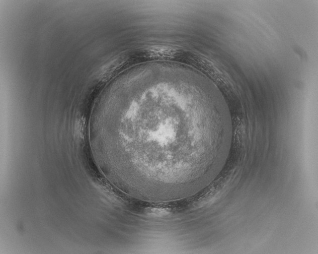 X0000116300649200911301442