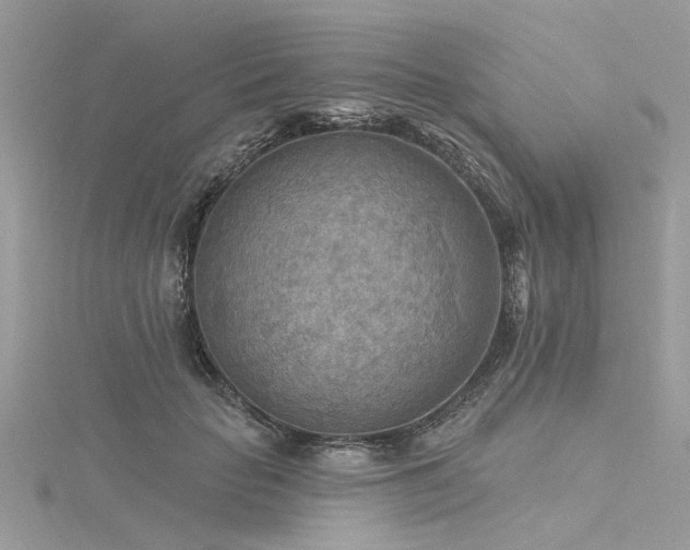 X0000116300653200911301443