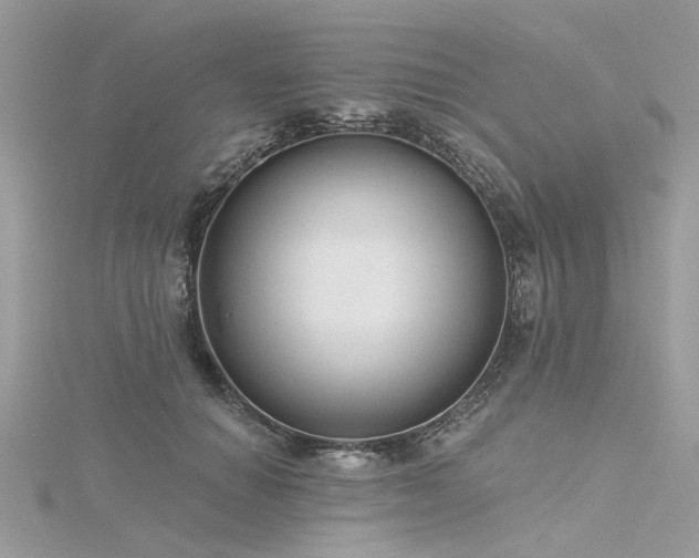 X0000116300654200911301443