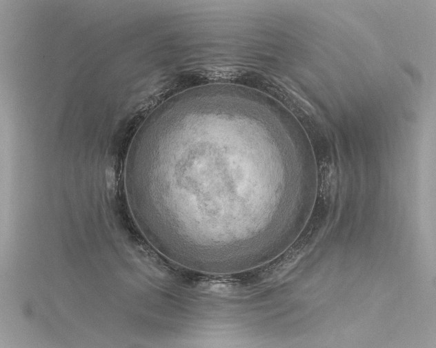 X0000116300655200911301443