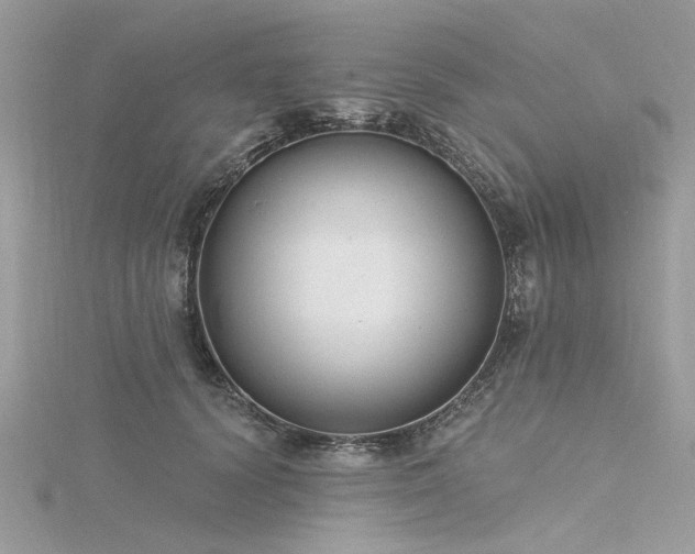 X0000116300656200911301443