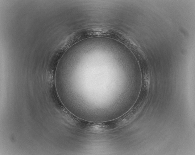 X0000116300657200911301443