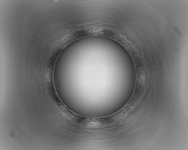 X0000116300658200911301443