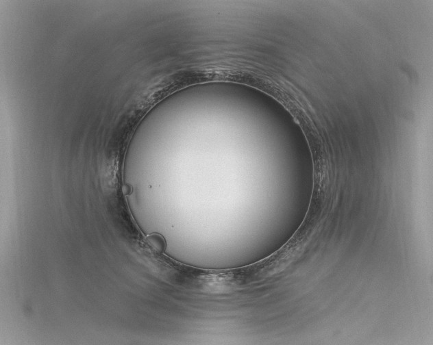 X0000116300660200911301443