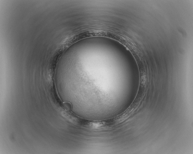 X0000116300662200911301443