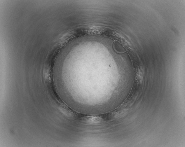 X0000116300663200911301443