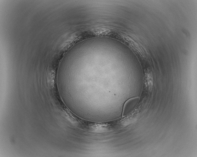 X0000116300664200911301443