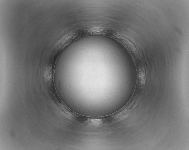 X0000116300665200911301443