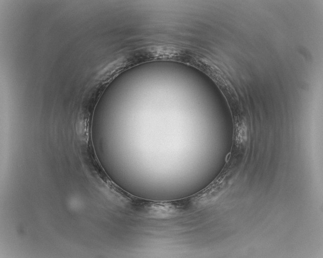 X0000116300666200911301443