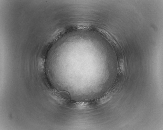 X0000116300667200911301443