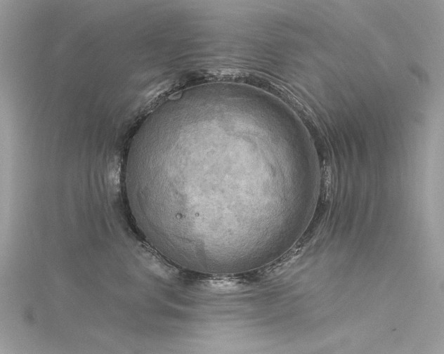 X0000116300668200911301443