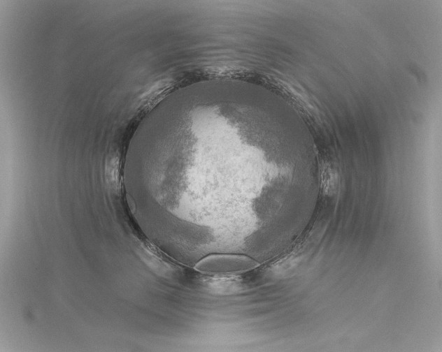 X0000116300670200911301443