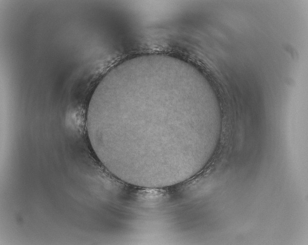 X0000116300672200911301443