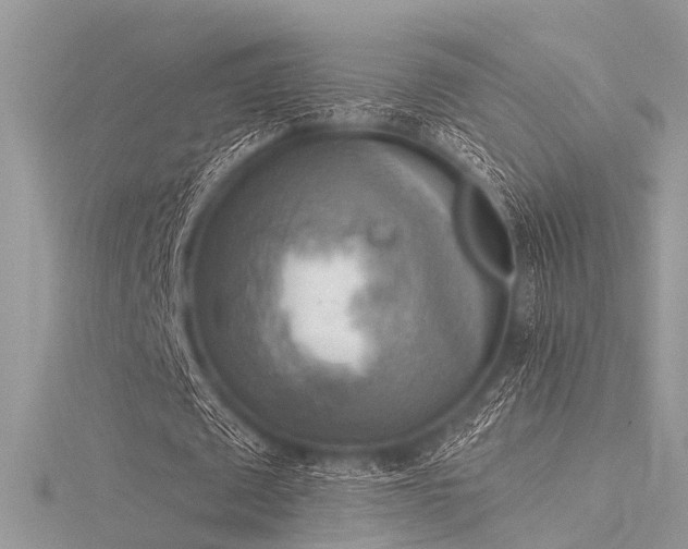 X0000116300673200911301442