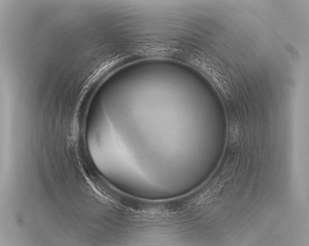 X0000116300674200911301442