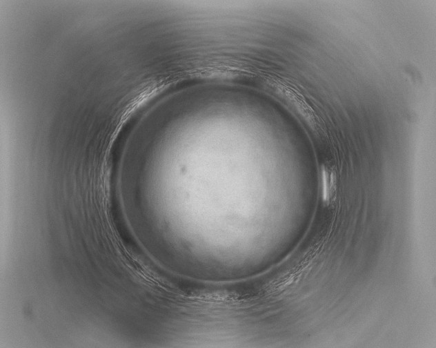 X0000116300675200911301442