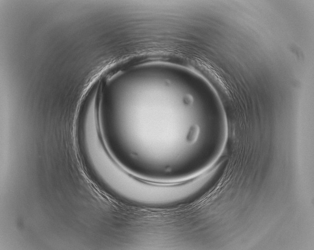 X0000116300676200911301442