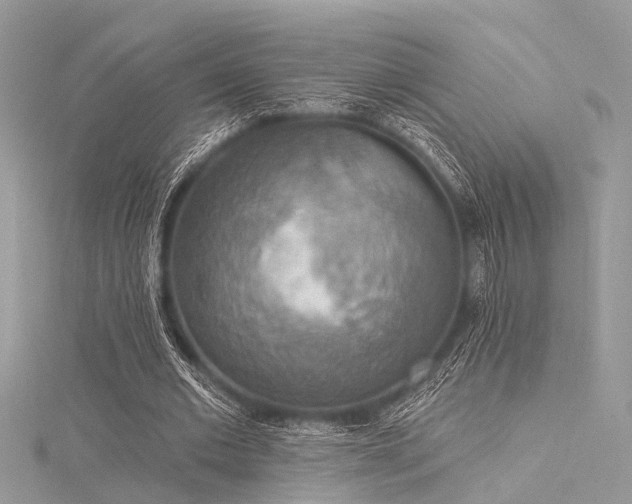 X0000116300677200911301442