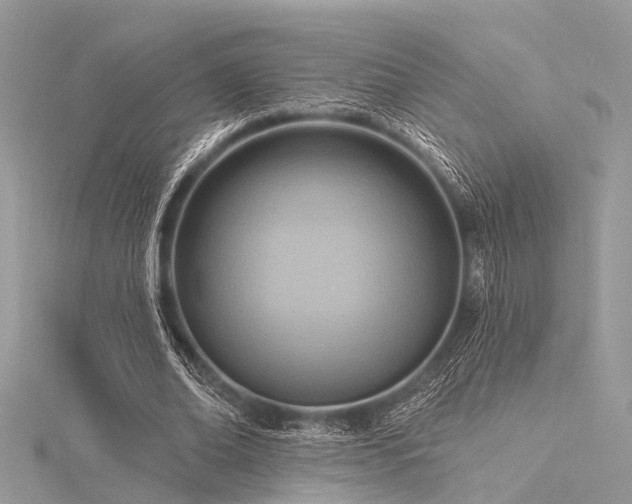 X0000116300678200911301442