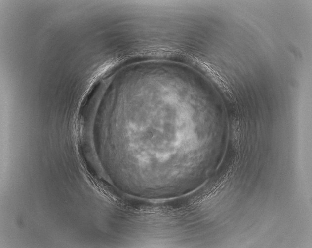 X0000116300679200911301442